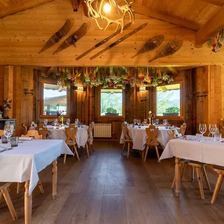 Starsbox אוהל מפואר *