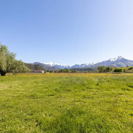 Starsbox Campo de lujo *