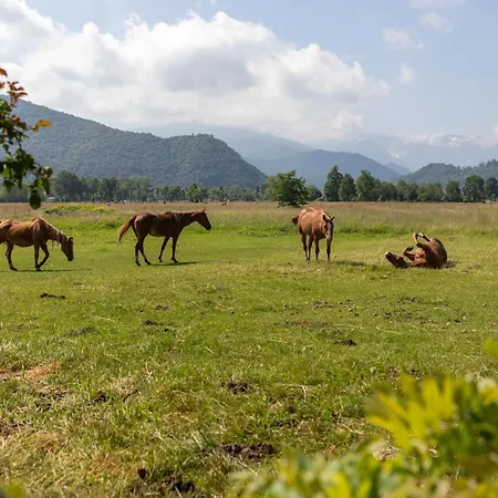 Starsbox אוהל מפואר
