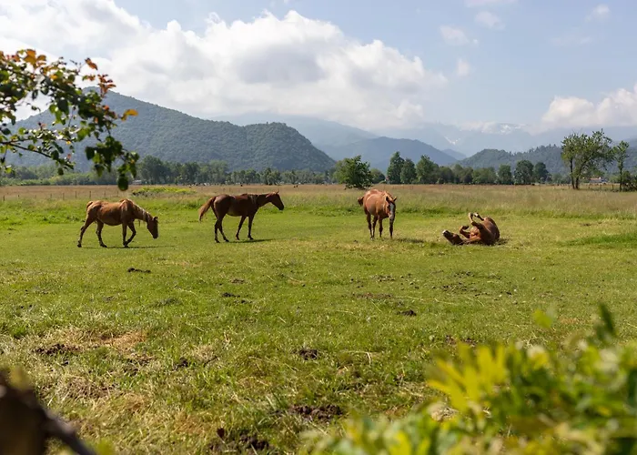 Starsbox Luxury tent